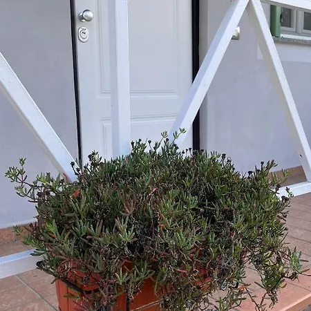 La Casa Sulla Collina Cocconato